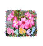 スタンプシリーズa（個別スタンプ：4）