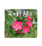 スタンプシリーズa（個別スタンプ：8）