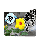 スタンプシリーズa（個別スタンプ：10）