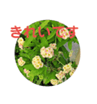スタンプシリーズa（個別スタンプ：13）