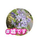 スタンプシリーズa（個別スタンプ：14）