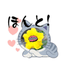 スタンプシリーズa（個別スタンプ：17）