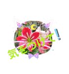 スタンプシリーズa（個別スタンプ：18）