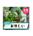 スタンプシリーズa（個別スタンプ：19）