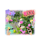 スタンプシリーズa（個別スタンプ：24）