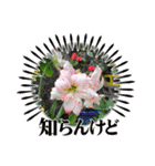 スタンプシリーズa（個別スタンプ：33）