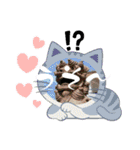 スタンプシリーズa（個別スタンプ：38）