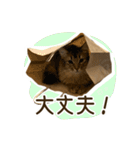 ふわもふビスケちゃん（個別スタンプ：29）