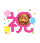 サイキョウダイ＋＋5（個別スタンプ：4）