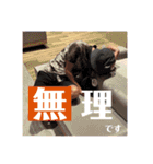 才原夫婦〜結婚式ver〜（個別スタンプ：14）