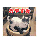 ねこのほっこりタイム（個別スタンプ：9）