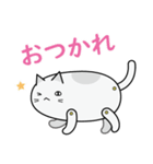 紙猫だニャン（個別スタンプ：3）