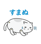 紙猫だニャン（個別スタンプ：8）