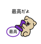 かわいすぎる子犬 soonduk (日)（個別スタンプ：5）