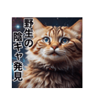 煽ってくる宇宙猫【煽る・うざい・面白い】（個別スタンプ：17）