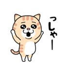 となりん家の猫？ トム（個別スタンプ：19）