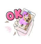 キュン！リリィ⭐︎（個別スタンプ：4）