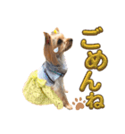 キュン！リリィ⭐︎（個別スタンプ：12）
