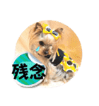キュン！リリィ⭐︎（個別スタンプ：18）