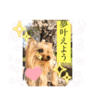 キュン！リリィ⭐︎（個別スタンプ：24）