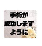 お見舞い④入院中.闘病中.療養中の方へ♡（個別スタンプ：6）