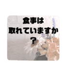 お見舞い④入院中.闘病中.療養中の方へ♡（個別スタンプ：14）