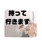 お見舞い④入院中.闘病中.療養中の方へ♡（個別スタンプ：21）