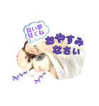 ミニうさぎダッチ⑥（個別スタンプ：6）