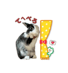 ミニうさぎダッチ⑥（個別スタンプ：12）