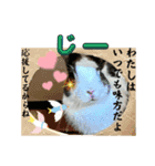 ミニうさぎダッチ⑥（個別スタンプ：14）