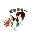 ミニうさぎダッチ⑥（個別スタンプ：17）