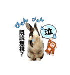 ミニうさぎダッチ⑥（個別スタンプ：24）