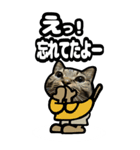 キジトラ猫13(冬)（個別スタンプ：20）