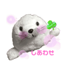 おうちゃんあざらし（個別スタンプ：3）