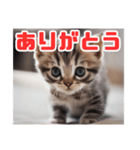 子猫ワールド 1（個別スタンプ：7）