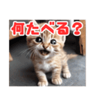 子猫ワールド 1（個別スタンプ：24）