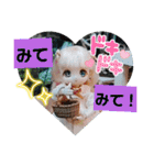 シャーリーのスタンプ（個別スタンプ：8）