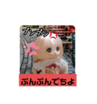 シャーリーのスタンプ（個別スタンプ：10）