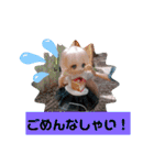 シャーリーのスタンプ（個別スタンプ：13）