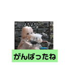 シャーリーのスタンプ（個別スタンプ：16）