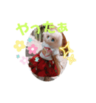 シャーリーのスタンプ（個別スタンプ：19）