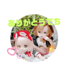 シャーリーのスタンプ（個別スタンプ：26）