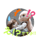 シャーリーのスタンプ（個別スタンプ：33）