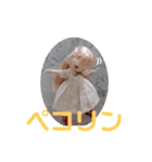 シャーリーのスタンプ（個別スタンプ：34）