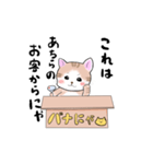 バナにゃ（個別スタンプ：3）