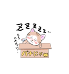 バナにゃ（個別スタンプ：5）