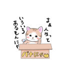 バナにゃ（個別スタンプ：6）