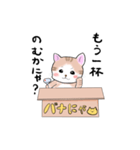 バナにゃ（個別スタンプ：7）