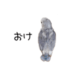 らぶばあああっど＋（個別スタンプ：2）