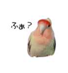 らぶばあああっど＋（個別スタンプ：5）
